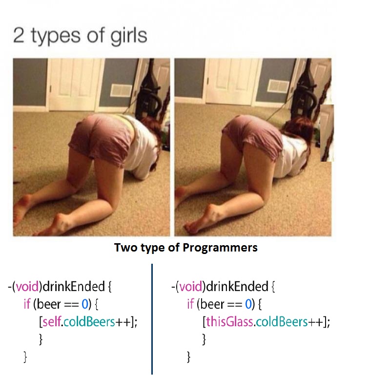 2 type of girls and 2 type of programmers