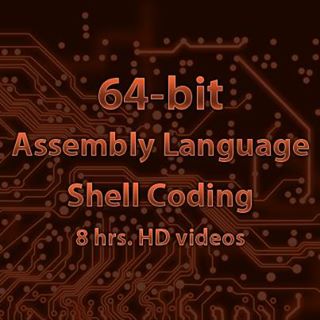 64 bit assembly