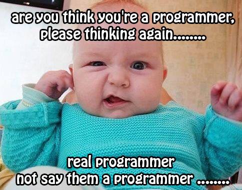 Are you think your are a Programmer
