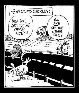 Chicken logic at its best