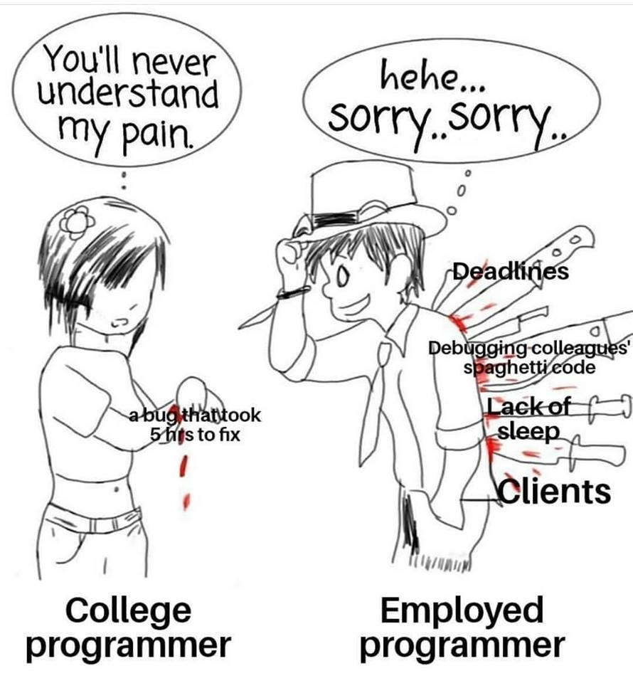 College programmer vs Employed programmer