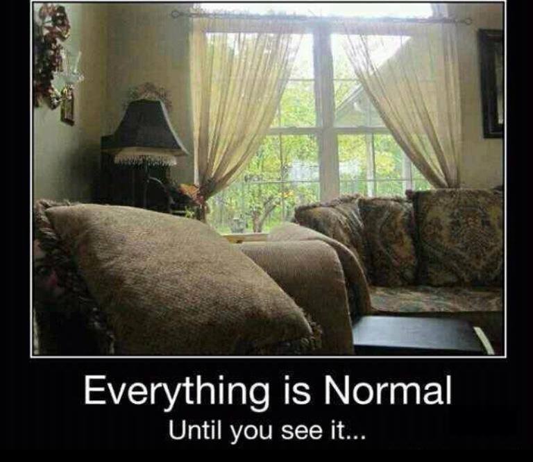 everything is normal