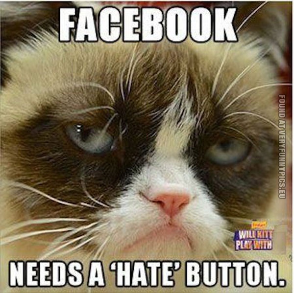 Grumpy about Facebook.