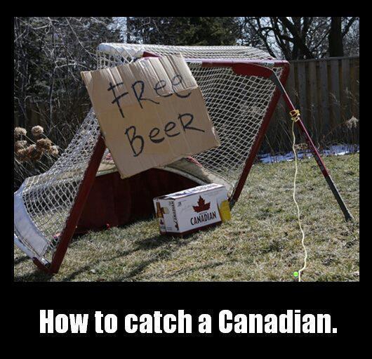 How to catch