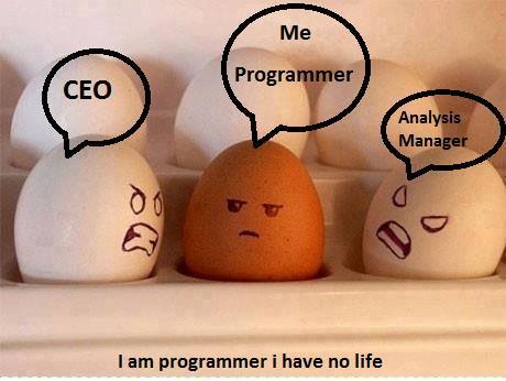 i am programmer