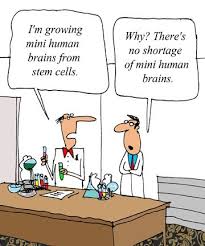 i'm growing human brains