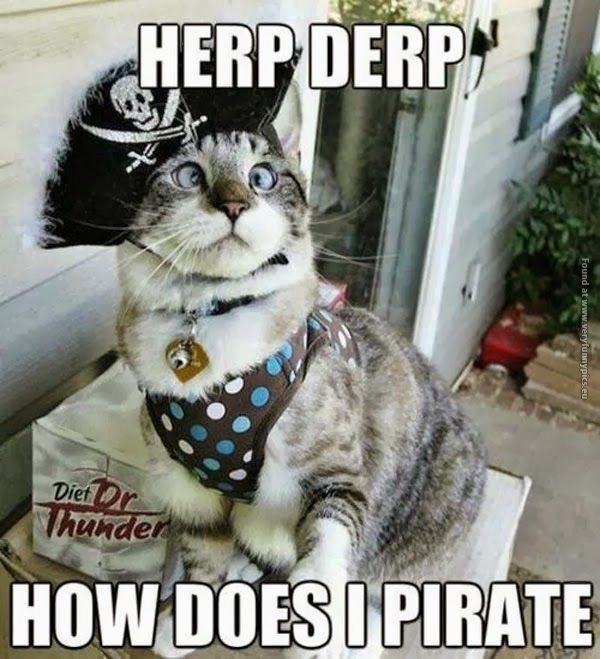It’s not easy for a cat to be a pirate