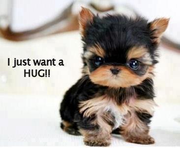 just want a hug