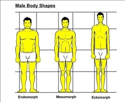 Male Body Types
