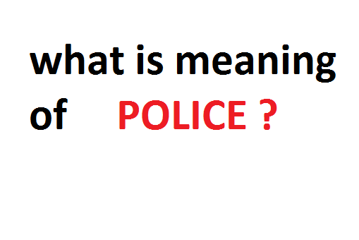   meaning of police