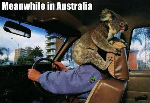 Meanwhile in Australia