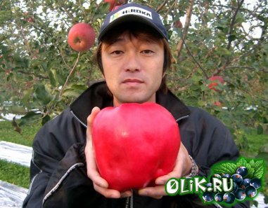 picking big apple