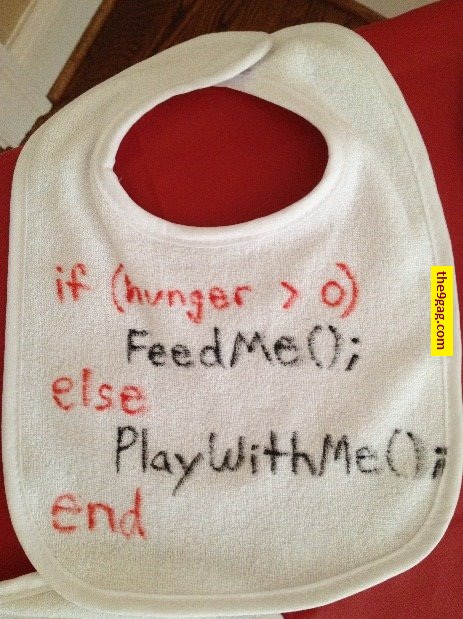 programmer baby
