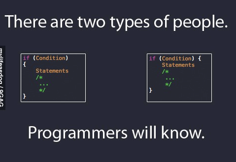 programmer will know