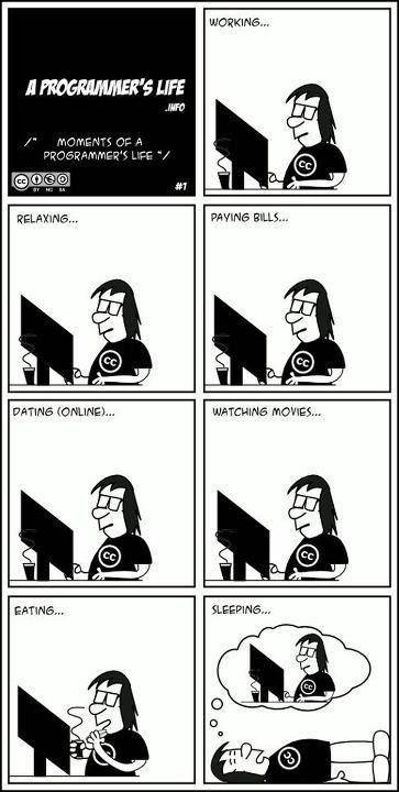 programmer's life