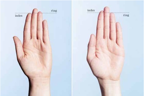 ring finger is referred to as the 2D and 4D