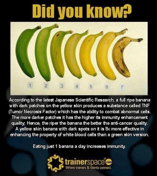 Something You Didnâ€™t Know About Bananas