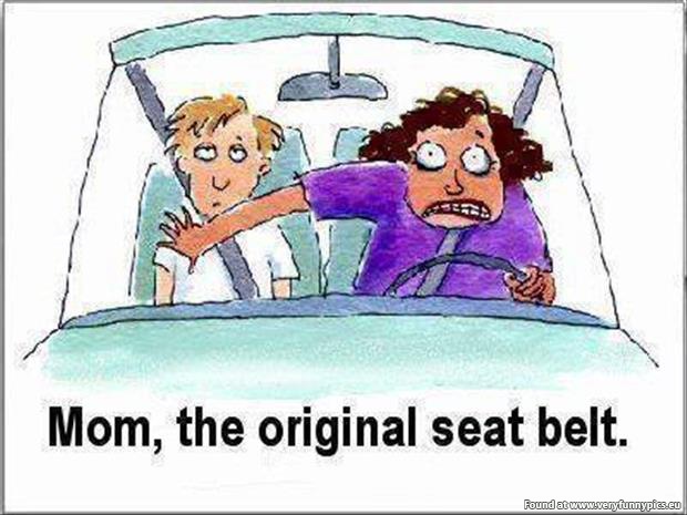The original seat belt