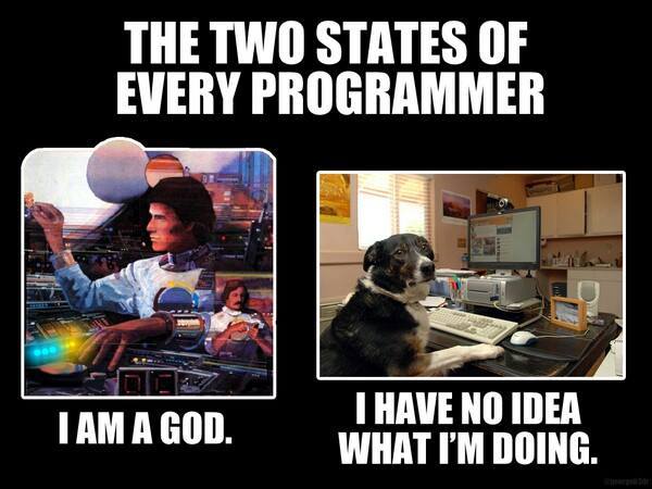 The Two states of Every Programmers