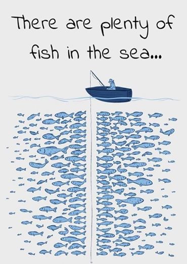 there are plenty of fish in the sea