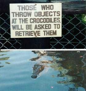 throw objects at the crocodiles