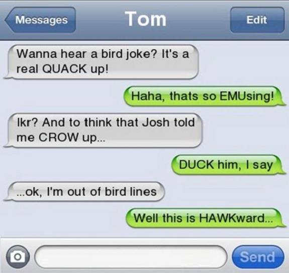 Wanna Hear A Bird Joke