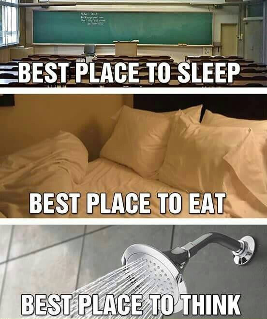 what is programmer best place 