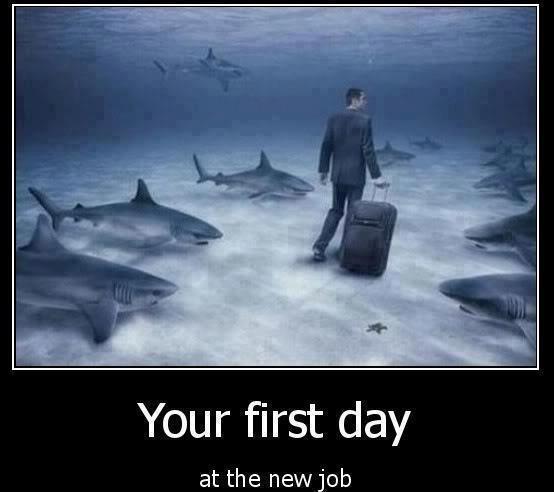 your first day 
